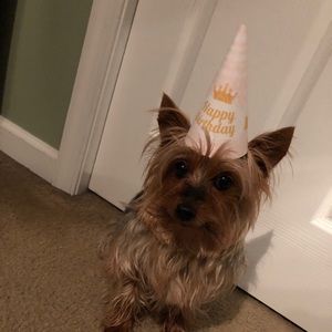 Meet your Posher, Alexandra